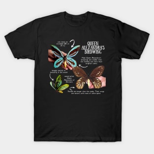 Animal Facts - Queen Alexandra's Birdwing T-Shirt